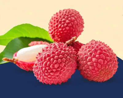 Litchi