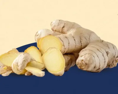 Gingembre